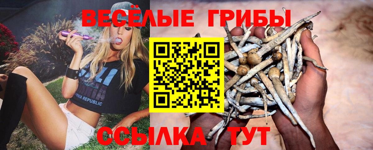 Галлюциногенные грибы ЛСД Анапа